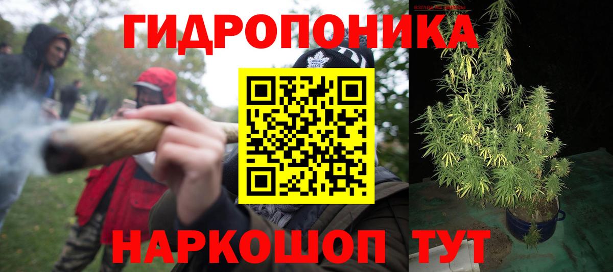 Каннабис конопля Семёнов